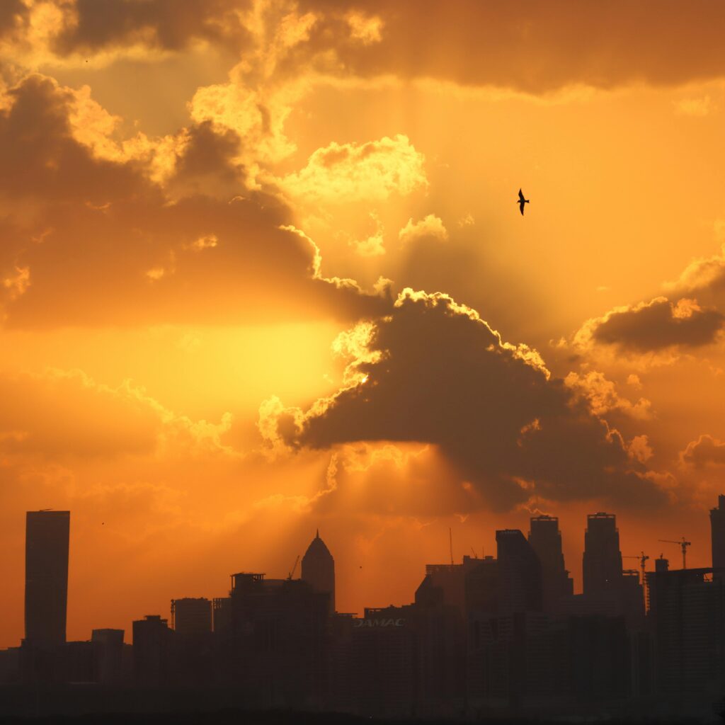 pexels-photo-12058121-1