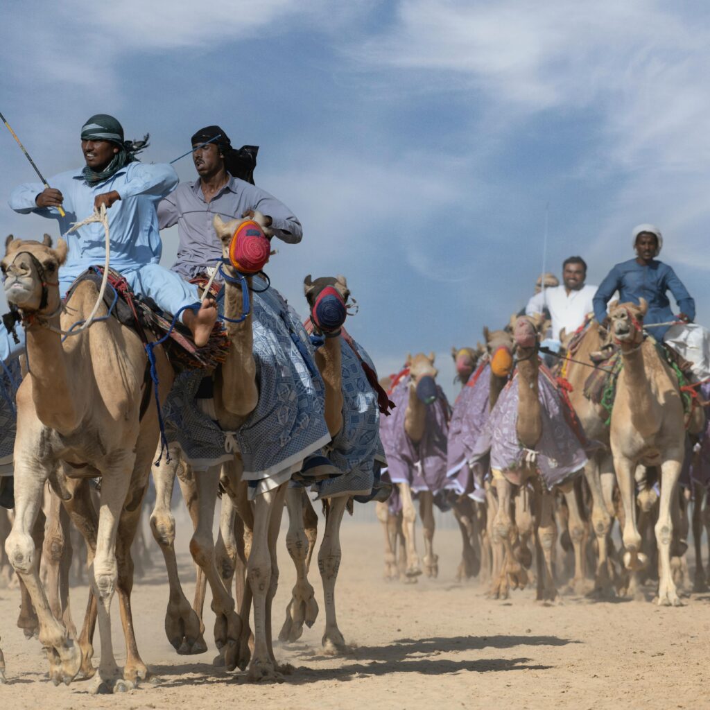 pexels-photo-13948541-2