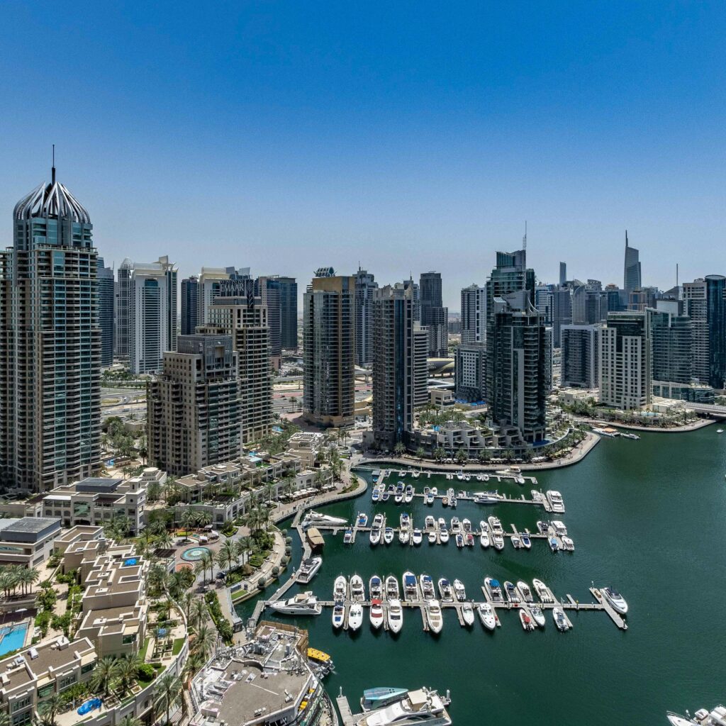 pexels-photo-29470806-1