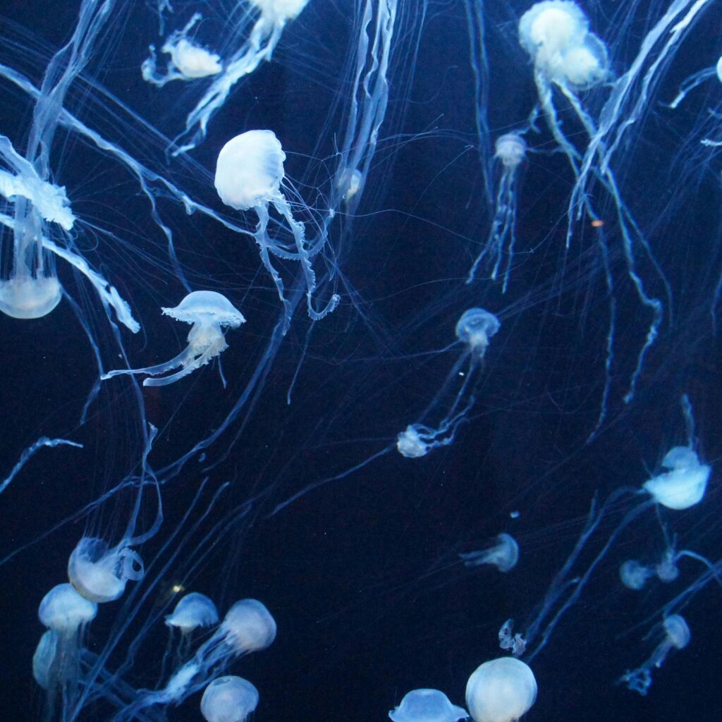 pexels-photo-6402403-1