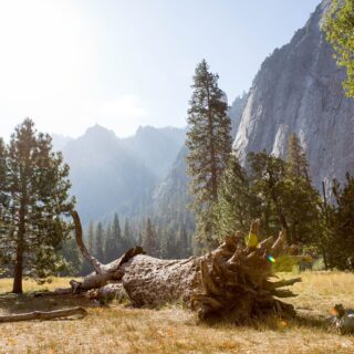 Foto de tour por Veenvorm