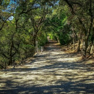 Foto de tour por user32212