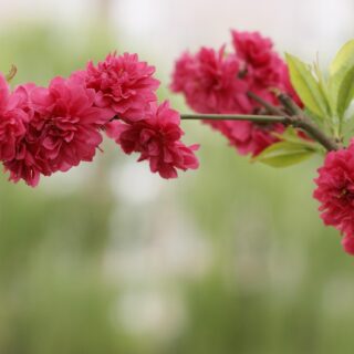 Foto de tour por ghzy302