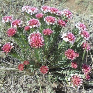 Foto de tour por ingguoguo