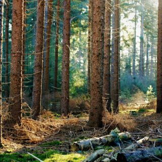 Foto de tour por FotoRieth