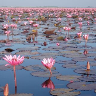 Foto de tour por CryptoSkylark