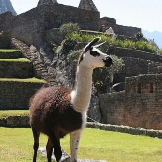 Foto de tour por 12019