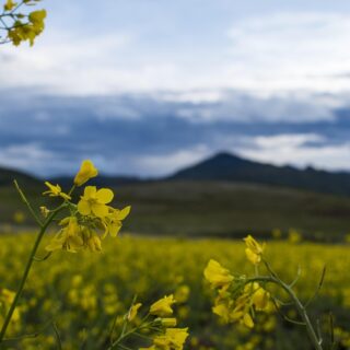 Foto de tour por Jeff_Ersoh