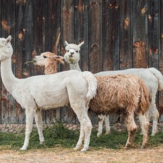 Foto de tour por kasjanf