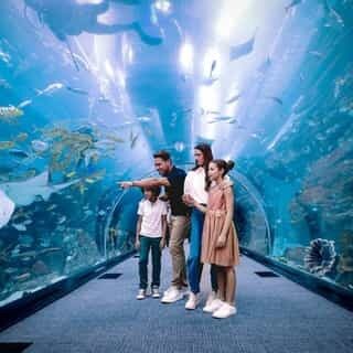 AQUARIUM