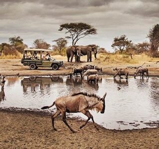 Serengeti National Park