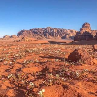 Wadi Rum