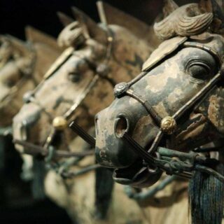 The Terracotta
