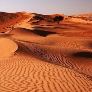 Wahiba Sands